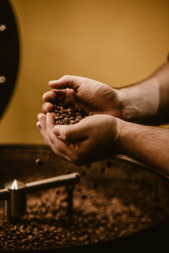 Close-up of hands holding freshly roasted coffee beans with a grinder in the background.